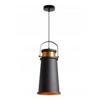 Chandelier 1*E27, 200 mm diameter, black with gold, model DL 9050P-C, LuminaLED.