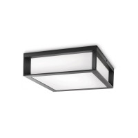 LED wall light 42W 26x26 cm E27 IP44 anthracite Philips SKIES