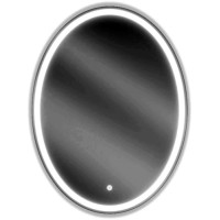 LED bathroom mirror 60x80 cm, oval, gold