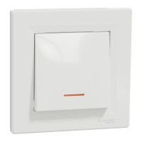 INTRERUPATOR UNIT. INTER. CU INDICAT. 10A 250V Asfora SCHNEIDER