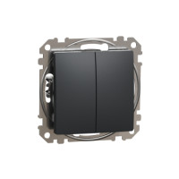Double switch 10A anthracite SDD114105 series Sedna Noua