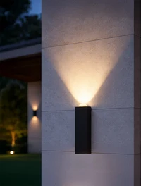 Aplică ZENO Led IP54 1*1W 4000K neagră LuminaLED 2