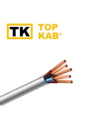 Fir electric PVS 5x10mm TopKab