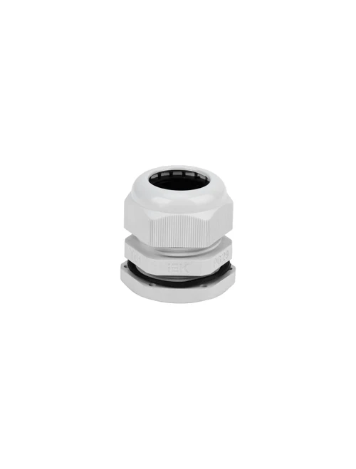 Presetupă PG29 D 18-24mm, IP54 IEK