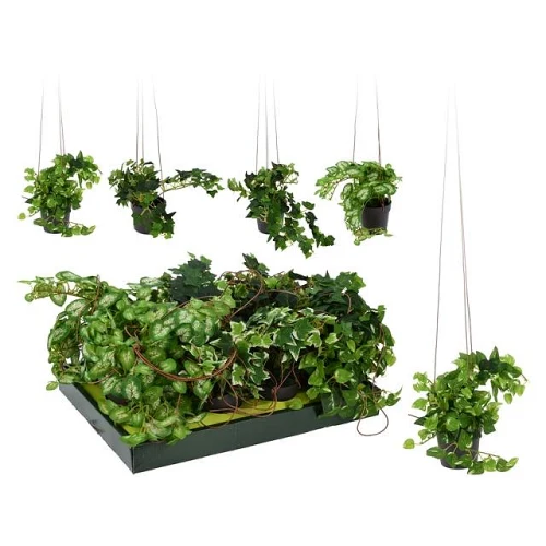 Floare artificială Volbură în ghiveci din plastic L83cm 38988