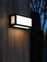 Aplică LED exterior MK-F462 30W 3000K 2