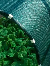 Plasă umbrire verde Lățime: 2m Procentul de umbrire : 90% 2