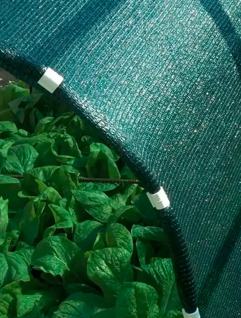 Plasă umbrire verde Lățime: 2m Procentul de umbrire : 90% 2