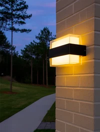 Aplică LED MK/SG-1039-2 185x170x100mm 2/6W 3000K neagră LuminaLED 2