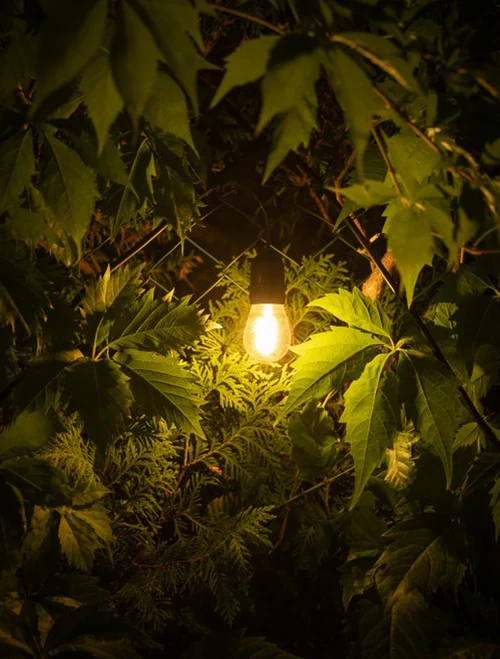 Ghirlandă LED RGB 18 becuri,12V,10m LuminaLED