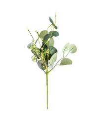 Eucalipt ramură 41 cm CM