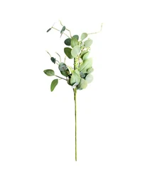 Eucalipt ramură 82 cm CM