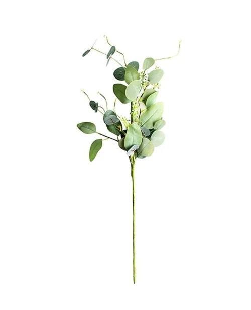 Eucalipt ramură 82 cm CM