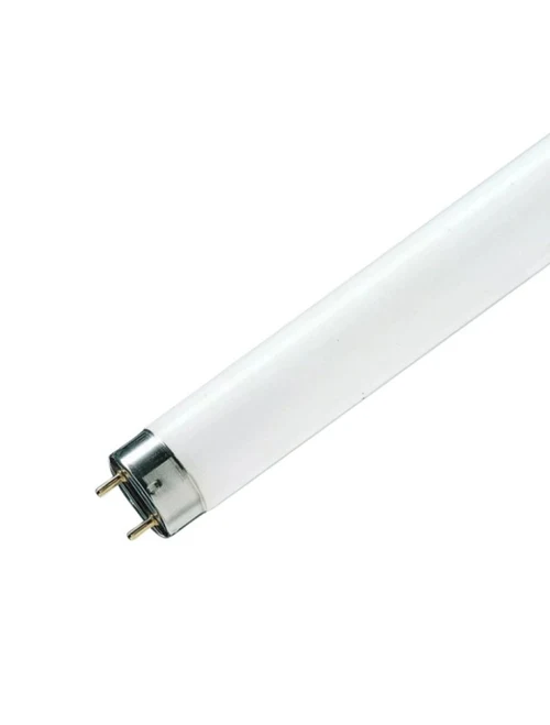 * Bec fluoriscent 959638 L 15W/765 G13 OSRAM