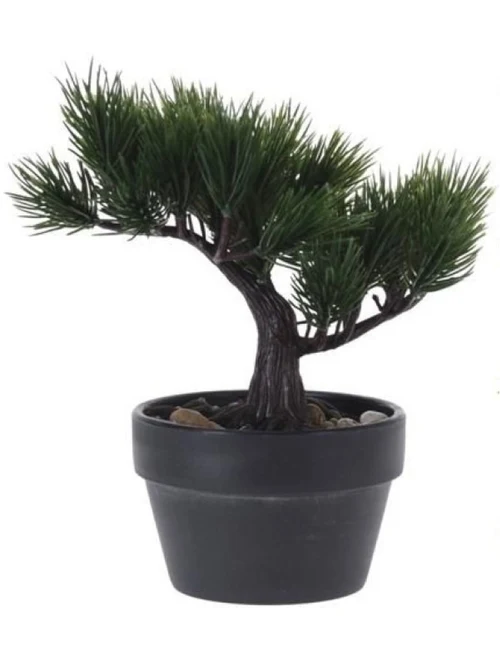 Copac decorativ Bonsai cu pietre naturale în ghiveci H20cm