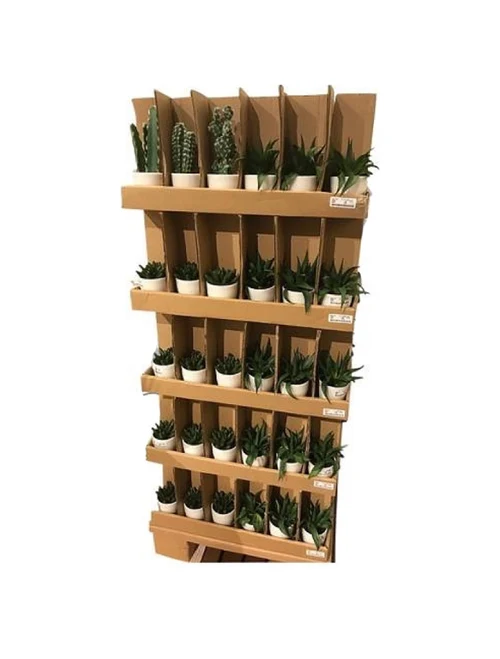 Floare artificială Aloe și Cactus în ghiveci H23cm