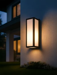 * Corp de iluminare LED pentru fațade 8W 3000K IP54 negru LUMINALED 2